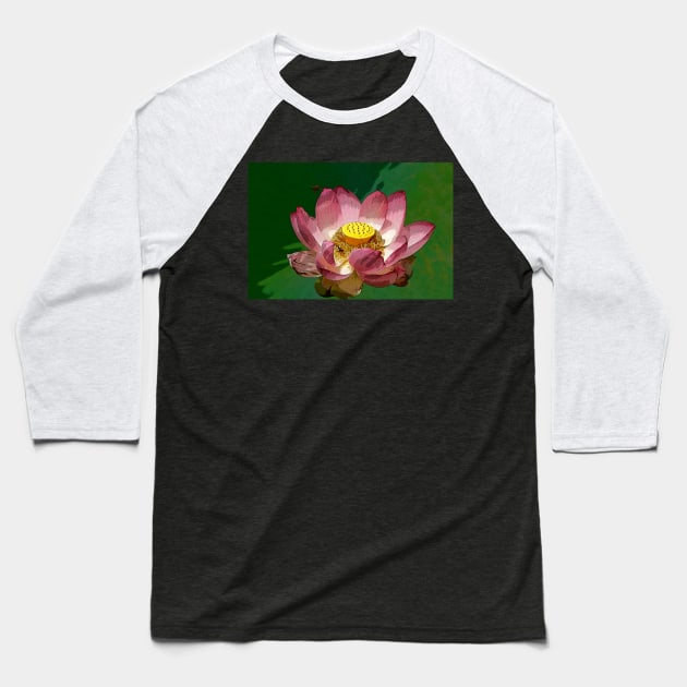 The sacred lotus Baseball T-Shirt by jwwallace